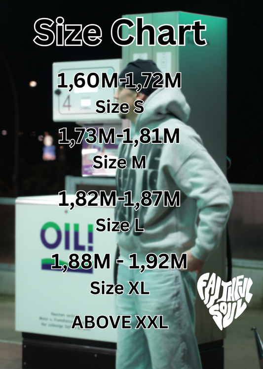 ALL WE NEED IS JESUS Hoodie